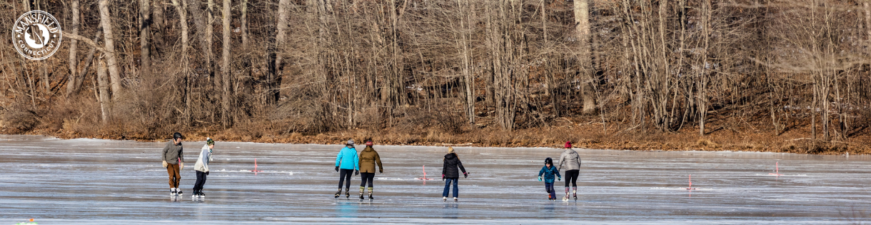 People bundled up in warm clothes ice skate on a frozen pond, bare trees line the shore