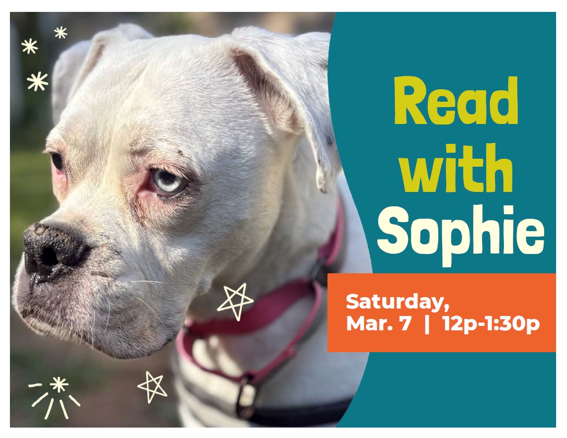 Image of Sophie (a Boxer dog) with text reading Read with Sophie Saturday March 7 12pm to 1:30pm