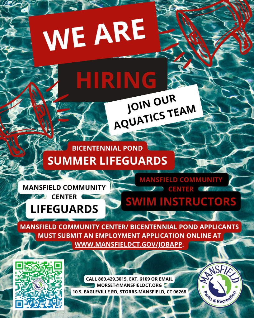 Tosca And Black Modern Illustrated We Are Hiring Flyer A4 (1)