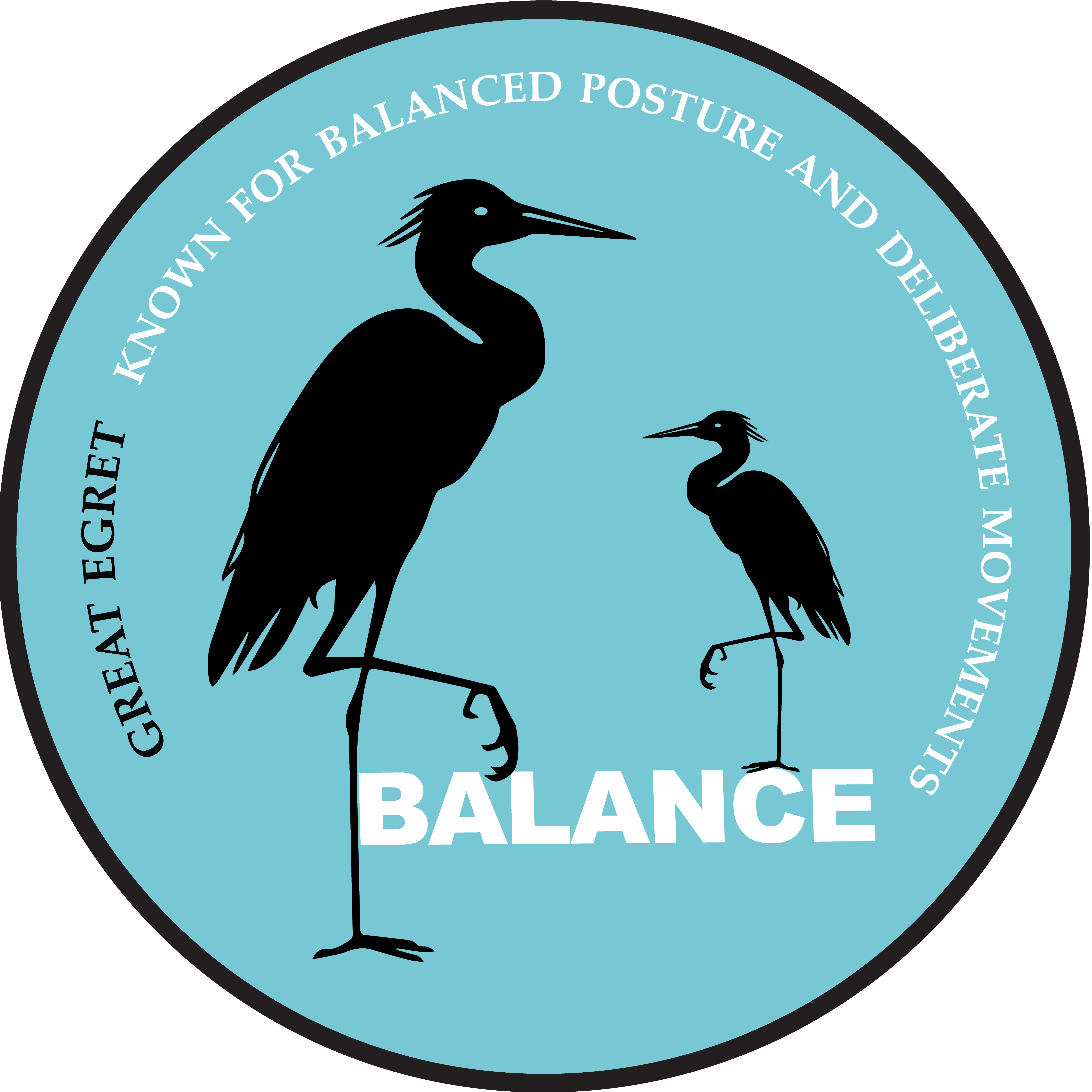 9-Balance