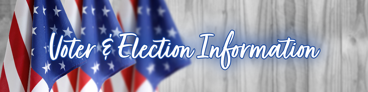 Flag voter and election informaiton