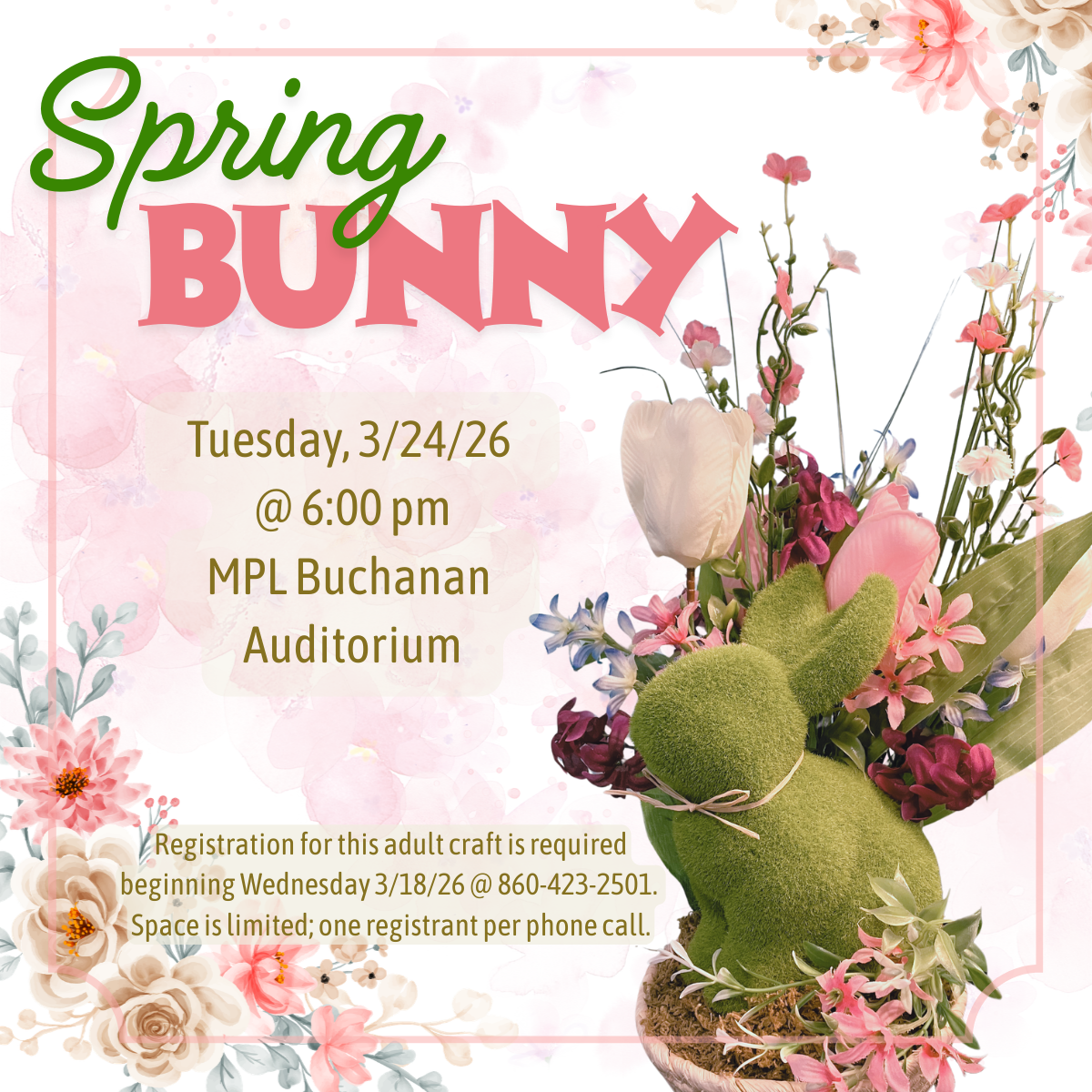 Spring Bunny infographic 2026